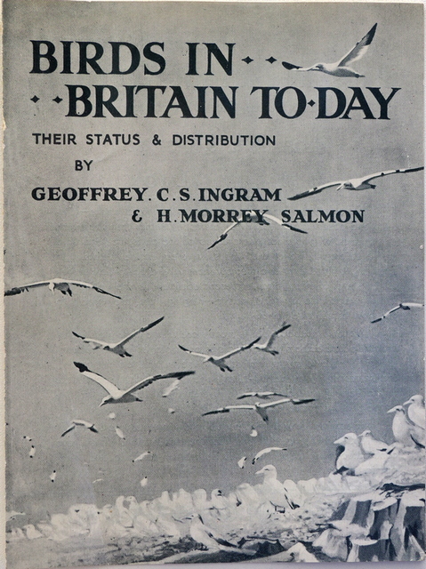 Birds in Britain Today