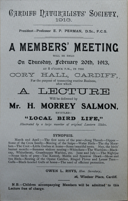H, Morrey Salmon 1913
